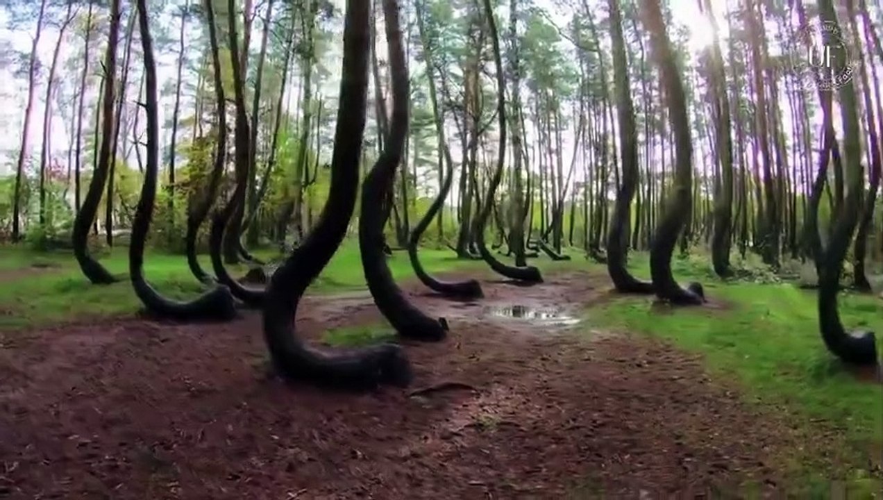 TOP 19 UEXPLAINED MYSTERIES OF ALL TIME | The Unsolved