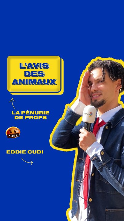 La pénurie de profs en France - L'avis des animaux W/ Eddie CuDi