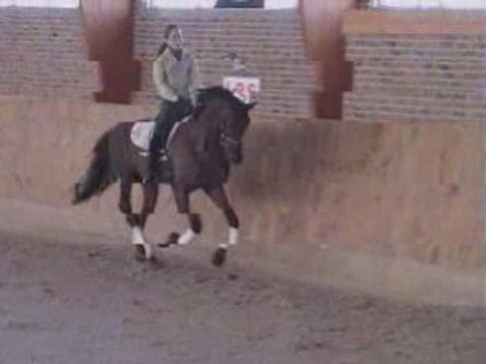 ACTUEEL galop a dte 26 janvier 08