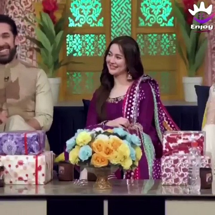 Tabish hashmi funny insult on live show