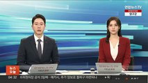 '이태원 참사' 2차 청문회 오늘 개최…이상민 등 20여명 증인 출석
