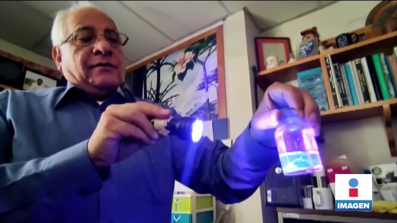 Descubren nueva especie de alacrán que habita en playas de Sinaloa