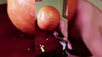 How did his head fit in there