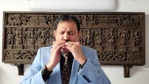 Chand Chupa Badal Mein - Film Hum Dil De Chuke Sanam 1999 on Harmonica Live Performance by Mukund Kamdar