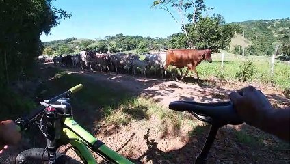 01/2023 - Usando cora 30