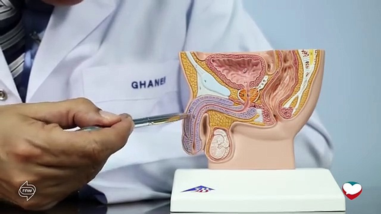 الضعف الجنسي عند مرضي ضغط الدم