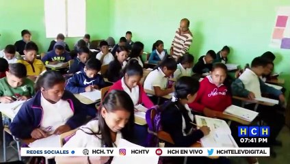 Nueva Gabacha podrá ser vendida por cualquier hondureño que pueda comerciarla