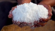 How one of the rarest types of salt in the world goes from ocean to table