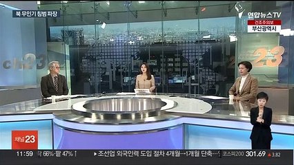 [뉴스초점] '북 무인기 용산 일부 침범' 파장…이태원 참사 2차 청문회