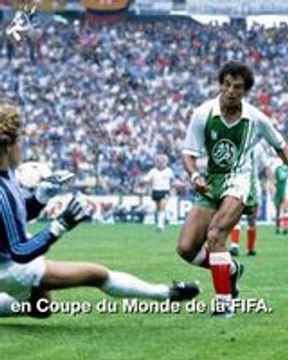 top Joueurs Algériens