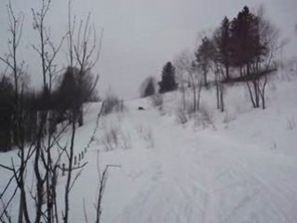 Ski de fond