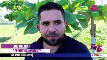 TN5 Estelar - 5 de Enero