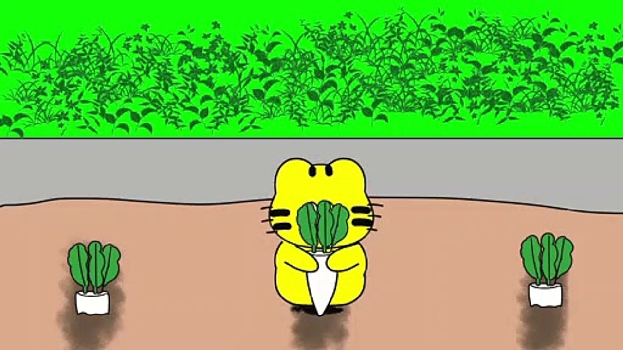 にゃんこの大根紙幣