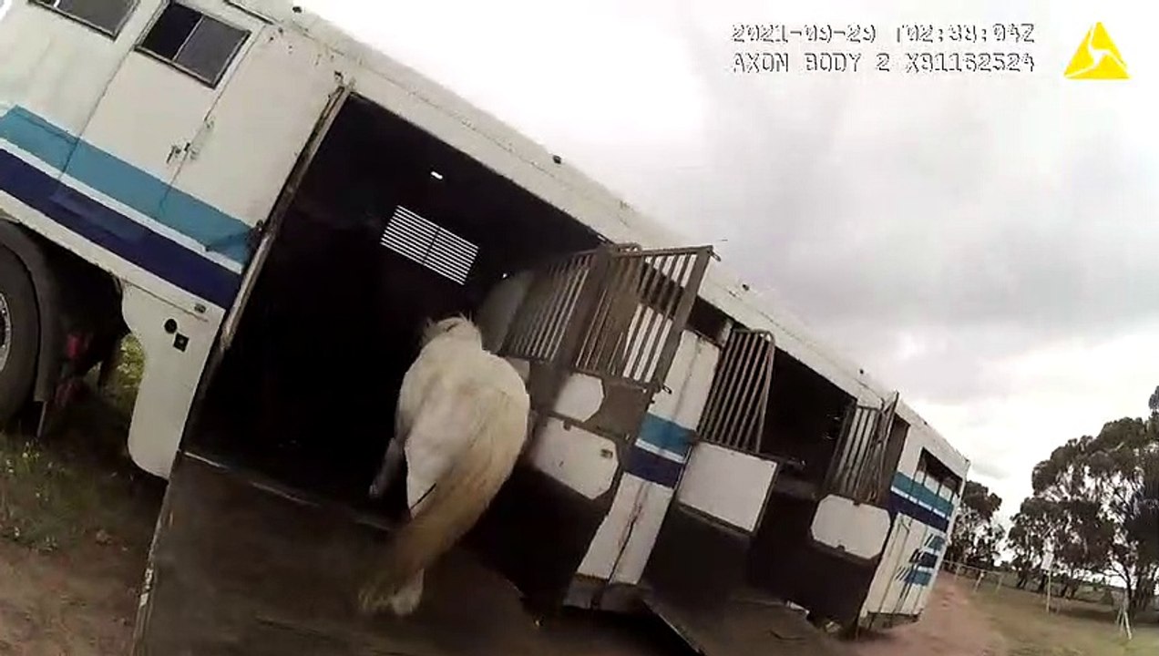 RSPCA WA - Prosecution - Horses- Seizure