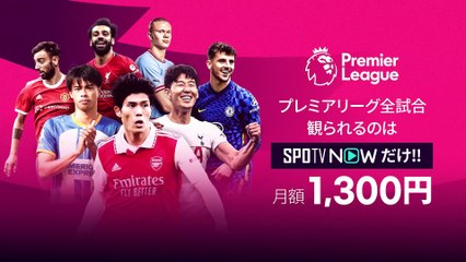 [プレミアリーグ]1.4 エヴァートン vs ブライトン ハイライト