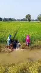 કિશાન_કી_કલા_કારી...(240p)