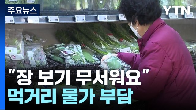장 보기 무서워요 ...채소에 유제품에 먹거리 물가 부담 / YTN