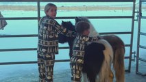 Parents make 11 y/o daughter's Christmas magical by surprising her with 2 Ponies