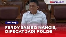 28 Tahun Jadi Polisi, Ferdy Sambo Nangis Karier Berakhir Gegara Kasusnya Sendiri: Sebenarnya Saya Malu