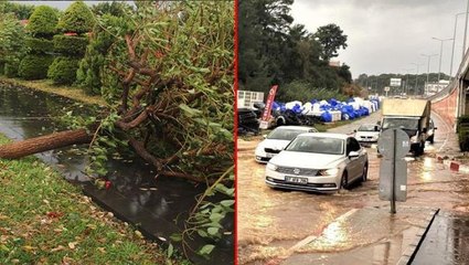 Yollar göle döndü, ağaçlar devrildi! Antalya'da yağmur ve fırtına, hayatı durma noktasına getirdi