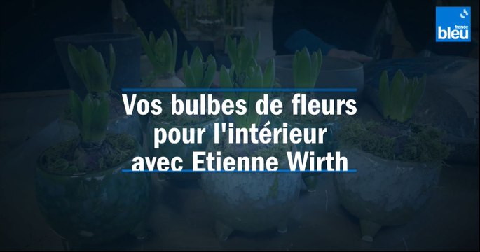 Vos bulbes de fleurs pour l'intérieur