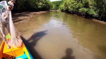 một ngày đi chài tưởng không có mà có khong tưởng