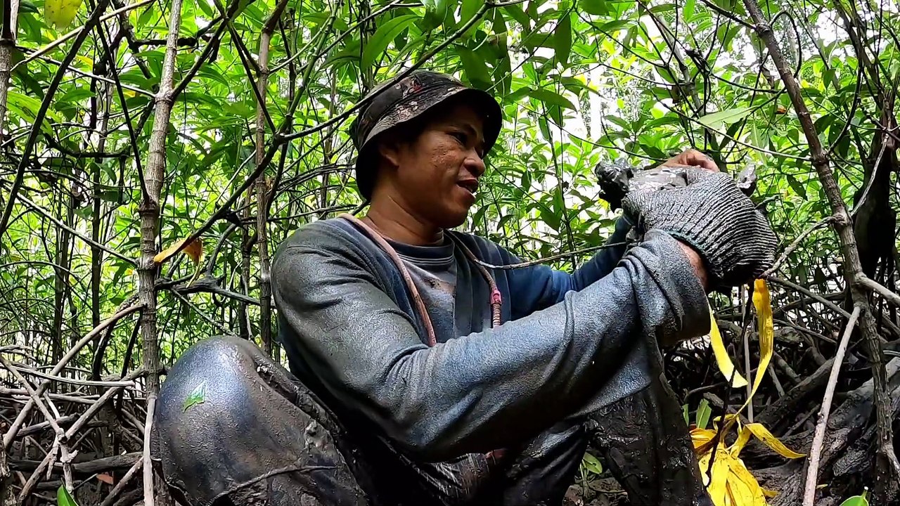 tin nóng bắt khẩn cấp những con cua bỏ nhà đi hoang và cái kết