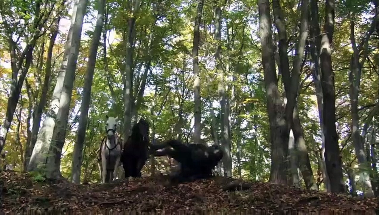 Robin Hood - Se3 - Ep11 - The Enemy of My Enemy HD Watch