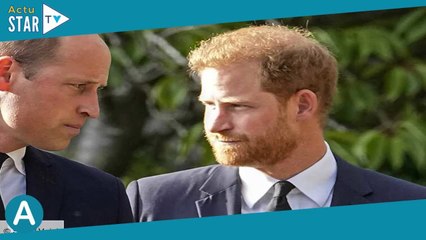 Prince Harry : ce jour où il a avoué à William qu’il pensait que leur mère Diana n’était pas morte m