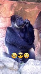 Bhai Sahab Naraz Hai Very  Funny