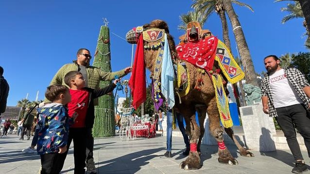 Bodrum'da deve güreşleri öncesinde davul zurna eşliğinde kortej yürüyüşü yapıldı