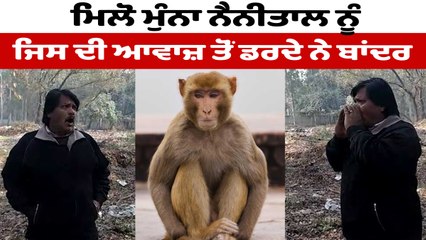 ਇਹ ਬੰਦਾ ਪਵਾਉਂਦਾ ਹੈ ਬਾਂਦਰਾ ਨੂੰ ਭਾਜੜਾ ਮਿਲੋ ਮੁੰਨਾ ਮਦਾਰੀ ਨੂੰ | Monkey Man | OneIndia Punjabi