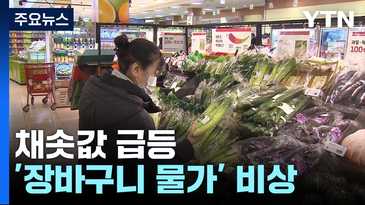"장 보기 무서워요"...채솟값 등 '장바구니 물가' 비상 / YTN