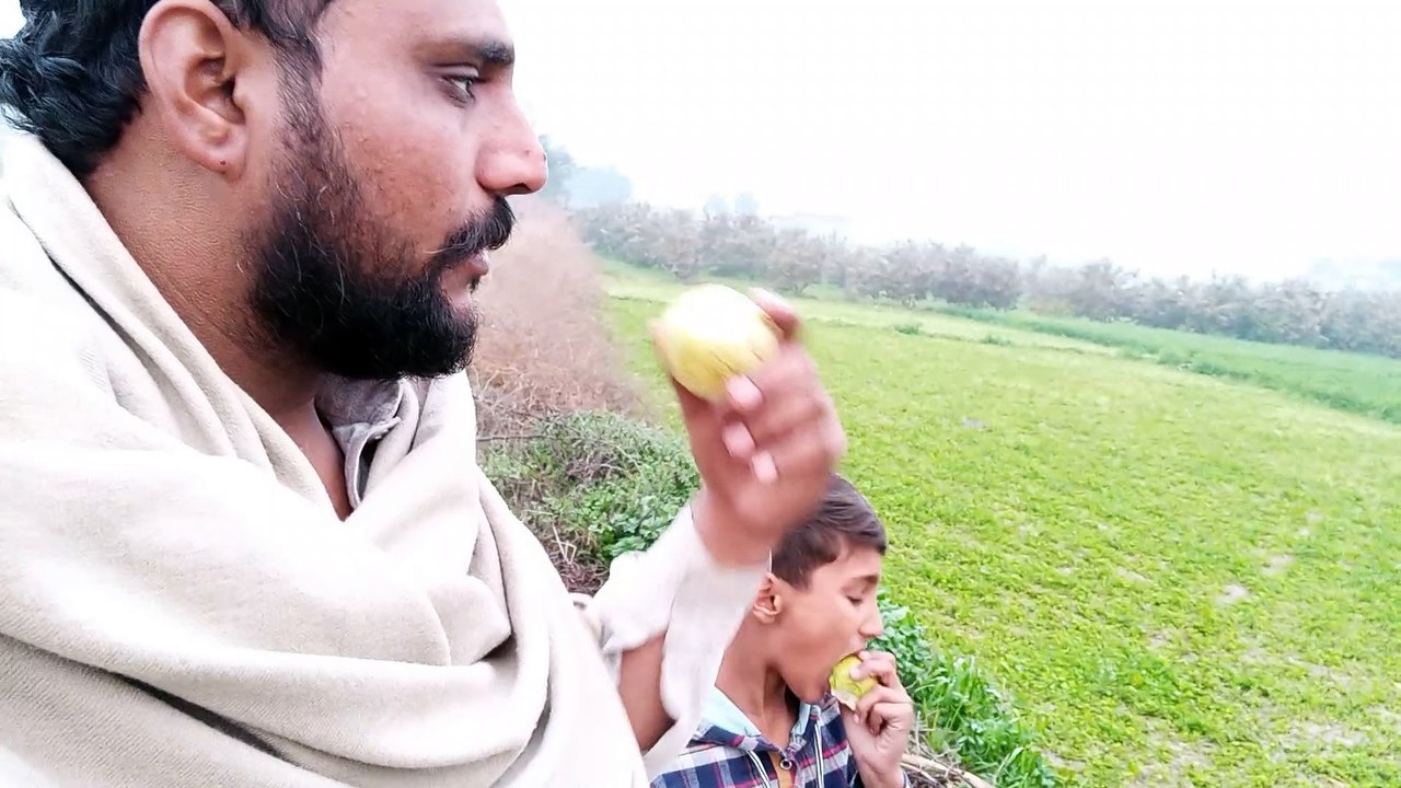 Gaon Main Barish K Baad || Rain In Village || Rana Shahzad Vlogs