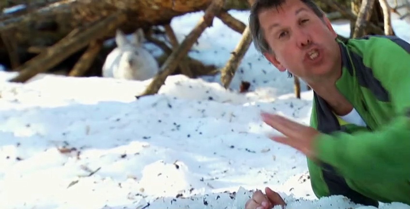Wild Kratts S02 E14
