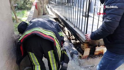 Denizli'de vahşet: Paşa'yı kulübesinde diri diri yaktılar