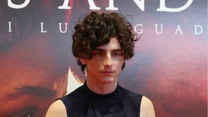 VOICI : Timothée Chalamet : sa mère est aussi actrice !