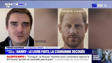 Le livre du prince Harry dont la sortie mondiale est prévue le 10 janvier, a fuité par erreur en Espagne