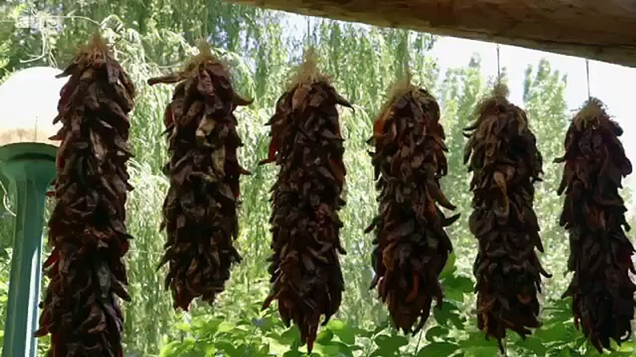 Great American Railroad Journeys - Se2 - Ep10 HD Watch