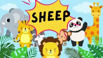 SOUND OF ANIMALS and QUIZs