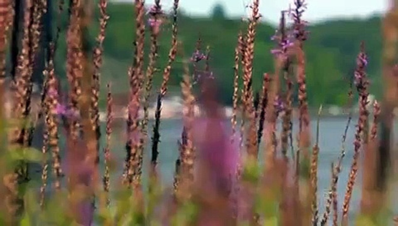 Bride Killa - Se1 - Ep05 - Killer Tide HD Watch