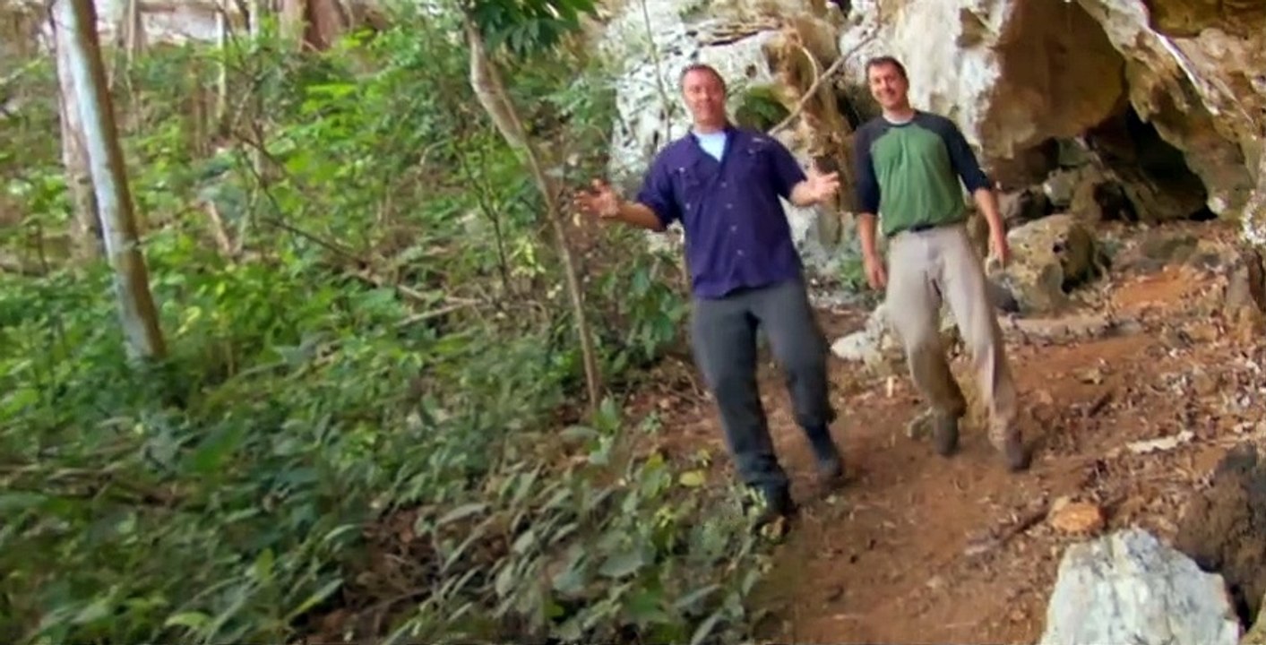 Wild Kratts S02 E22