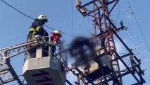 DİYARBAKIR - Elektrik akımına kapılan kişi öldü