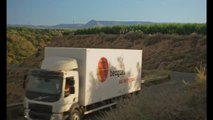 Agricultores mallorquines piden que se limiten los campos de placas solares en tierras cultivables