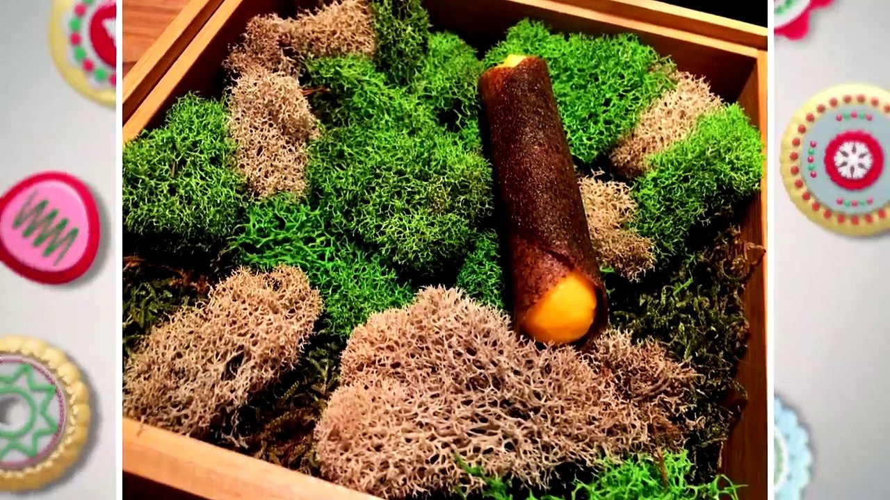 Christmas Cookie Challenge - Se2 - Ep07 - Colorful Christmas HD Watch