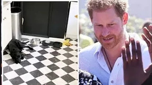 À l'intérieur de la cuisine 'Nott Cott' où Harry prétend 'très chaud', William l'a fait tomber au so