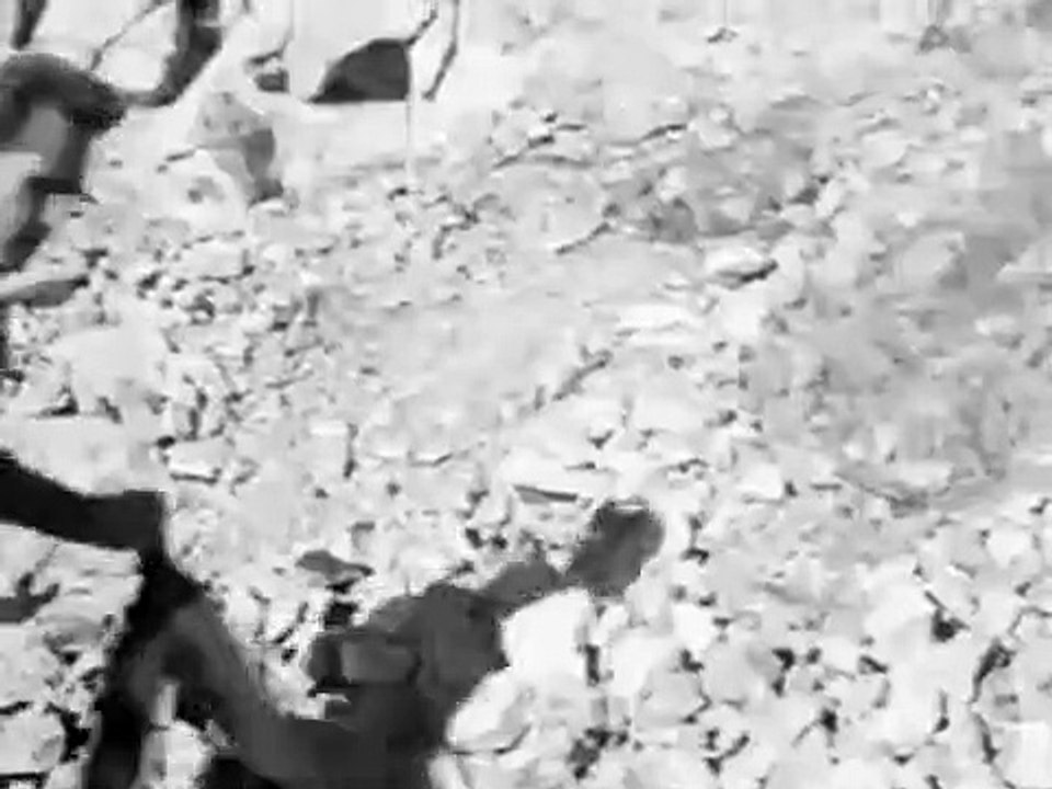 Sea Hunt - Se1 - Ep12 HD Watch