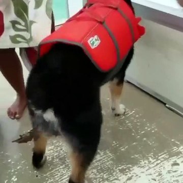 When your butt itches, but don’t wanna be caught scratching in public