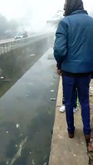 कोटा में  कोहरे के बीच कार नहर में गिरकर पलटी