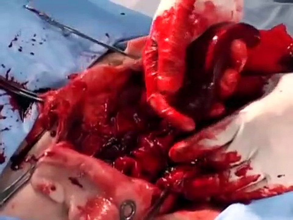 Scare Tactics - Se1 - Ep03 HD Watch